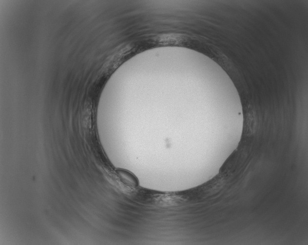 X0000076390379200611031701