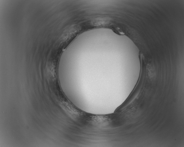 X0000076390380200611031701