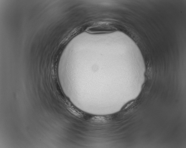 X0000076390381200611031701