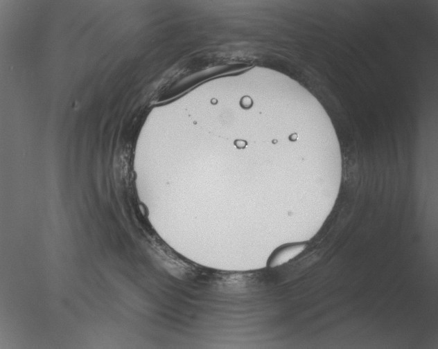 X0000076390382200611031701