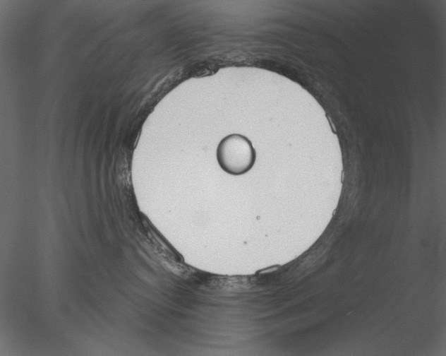 X0000076390384200611031701