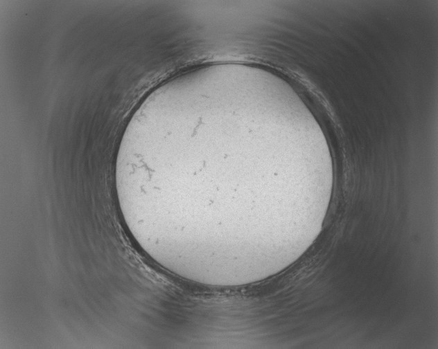 X0000076390385200611031701