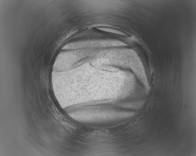 X0000076390386200611031701