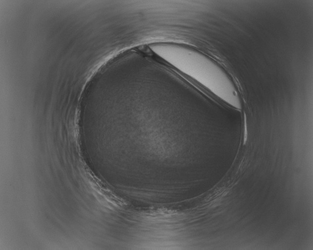 X0000076390387200611031701