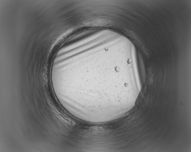 X0000076390392200611031700