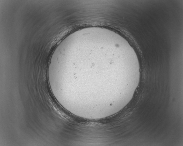 X0000076390393200611031700