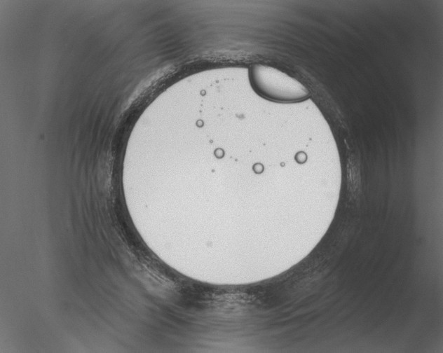 X0000076390396200611031700