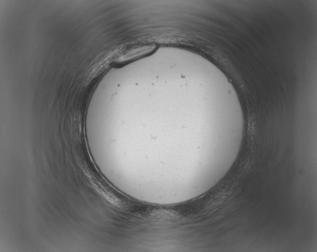 X0000076390397200611031700