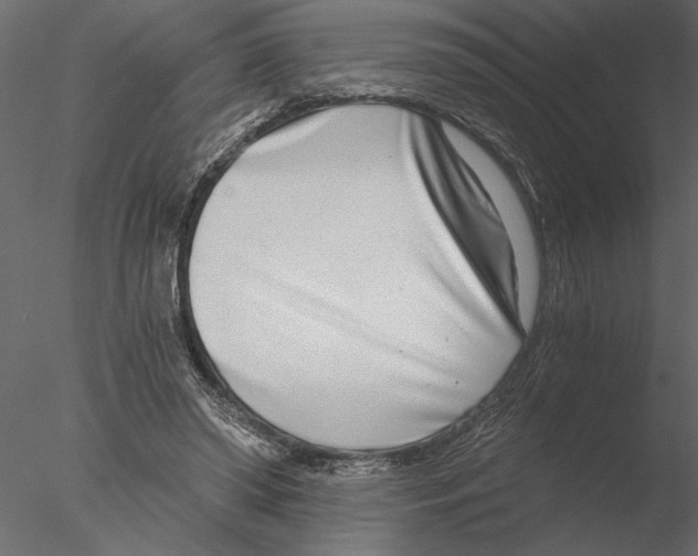 X0000076390398200611031700