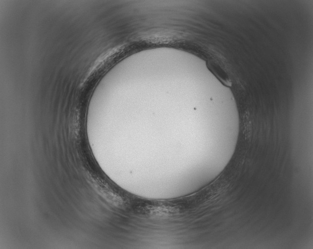 X0000076390400200611031700