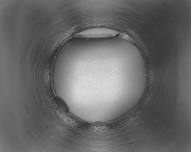 X0000076390401200611031700