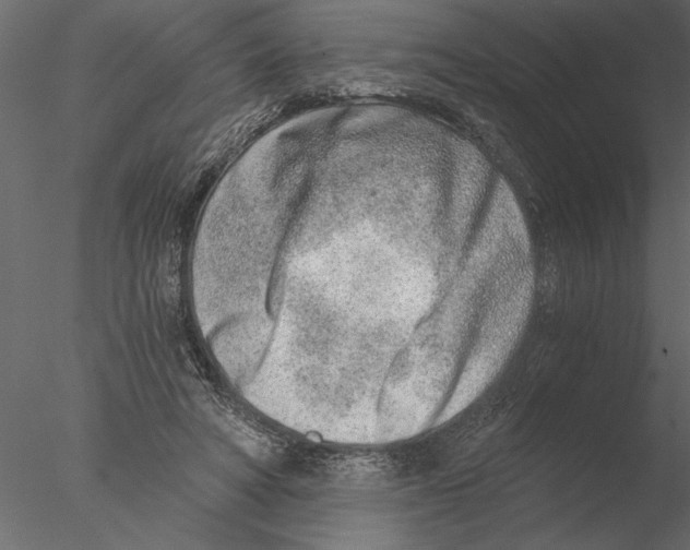 X0000076390402200611031700