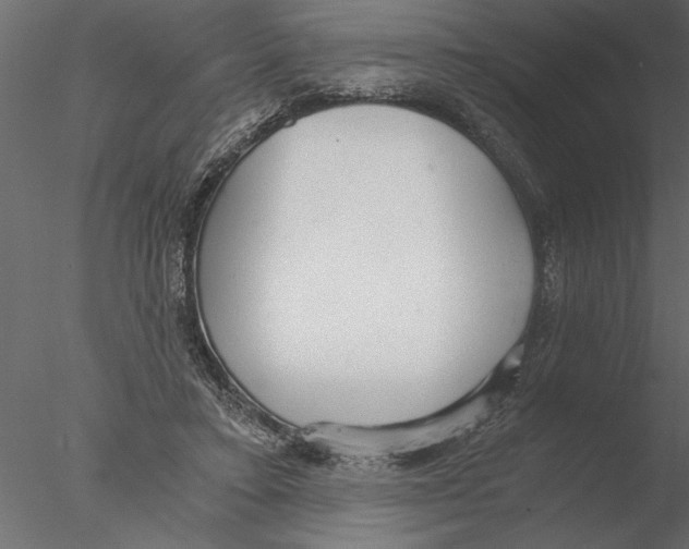 X0000076390403200611031700