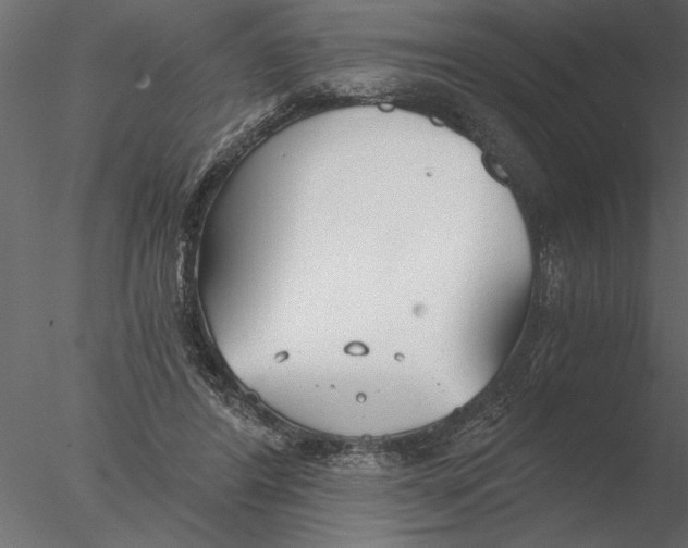 X0000076390404200611031700