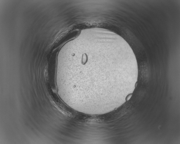 X0000076390408200611031700