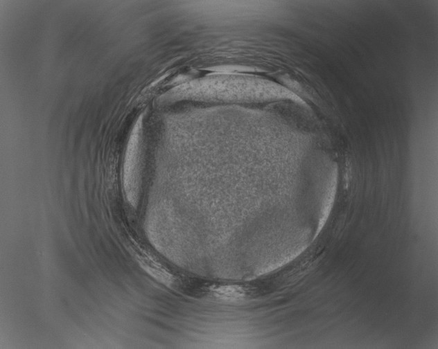 X0000076390409200611031700