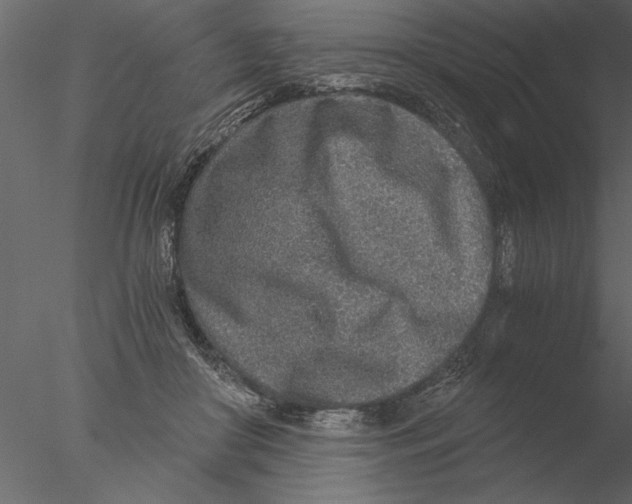 X0000076390410200611031700