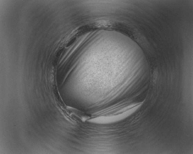 X0000076390413200611031700