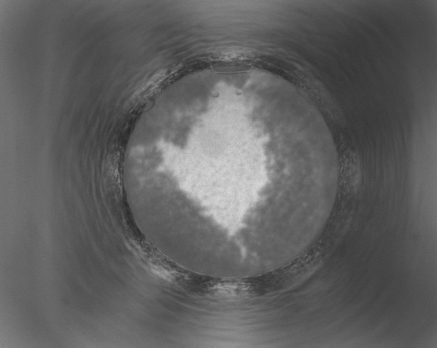 X0000076390415200611031700