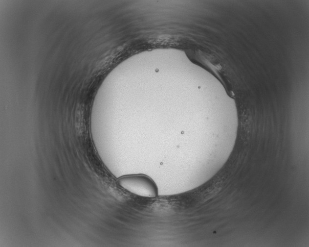 X0000076390416200611031700