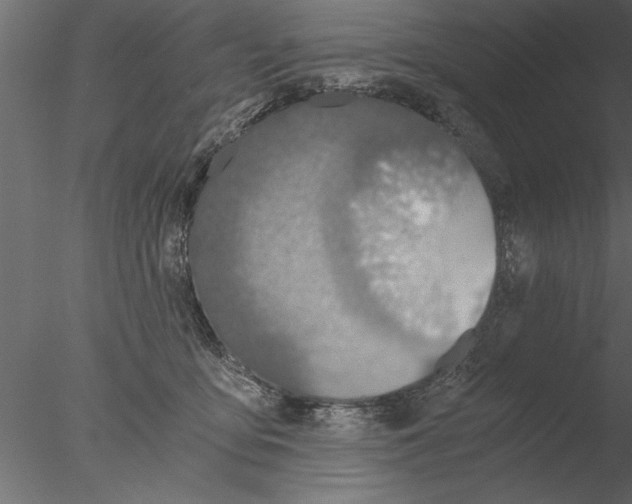 X0000076390419200611031700