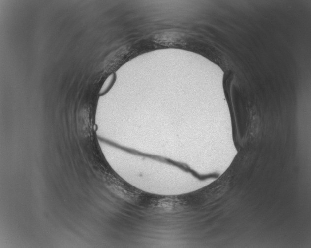 X0000076390420200611031700