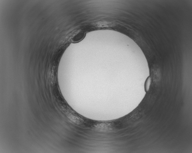 X0000076390422200611031700