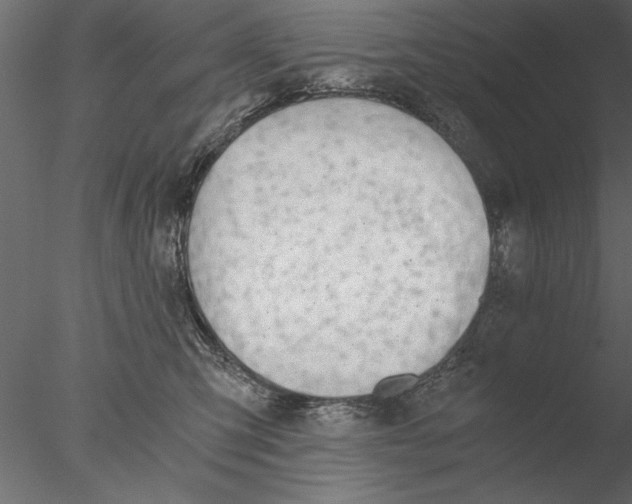 X0000076390423200611031700