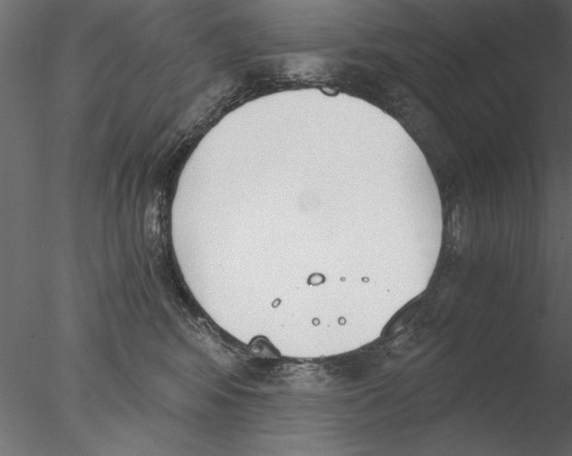 X0000076390424200611031700