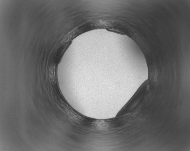 X0000076390425200611031700