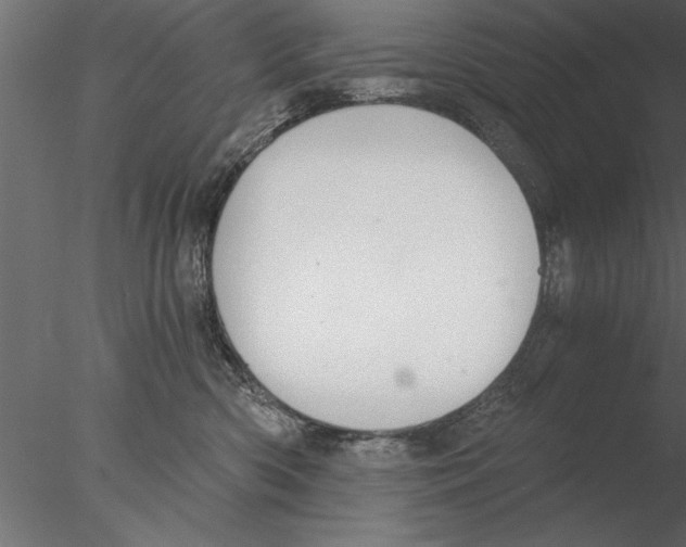 X0000076390426200611031700