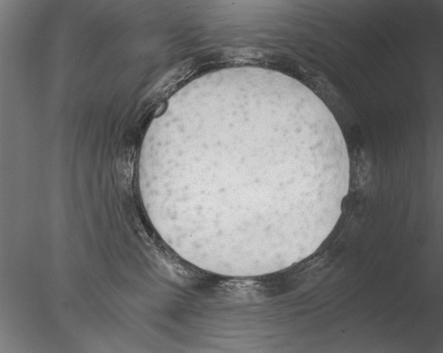 X0000076390427200611031700