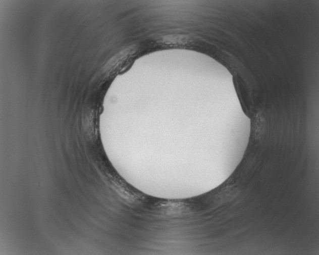 X0000076390428200611031700