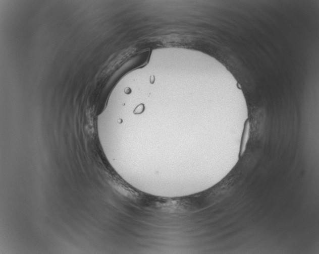 X0000076390430200611031700