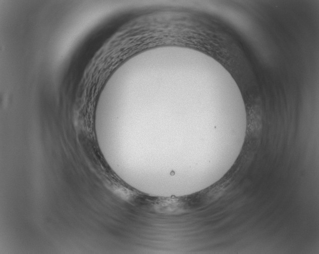 X0000076390431200611031700