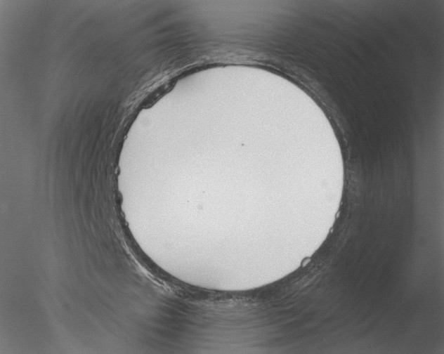 X0000076390433200611031659