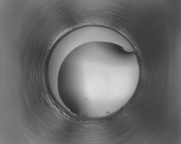 X0000076390434200611031659