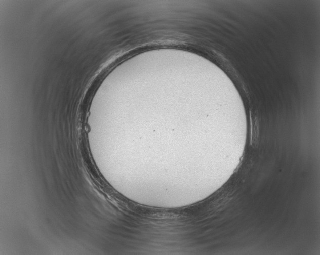 X0000076390435200611031659