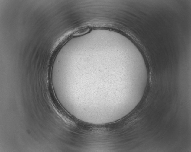 X0000076390438200611031659