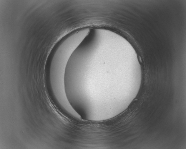 X0000076390439200611031659