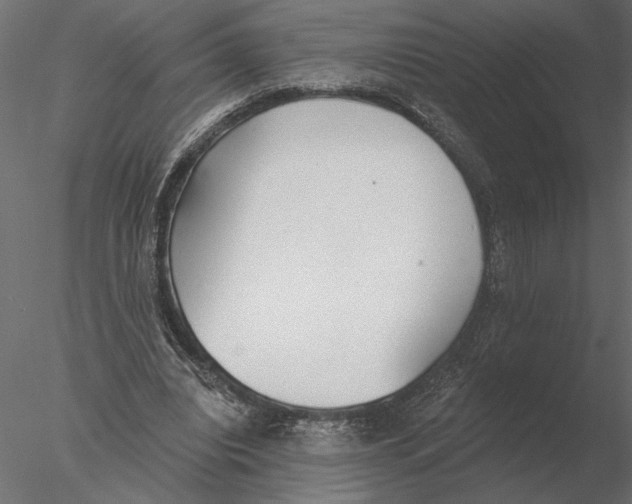 X0000076390440200611031659