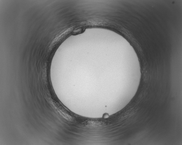 X0000076390442200611031659