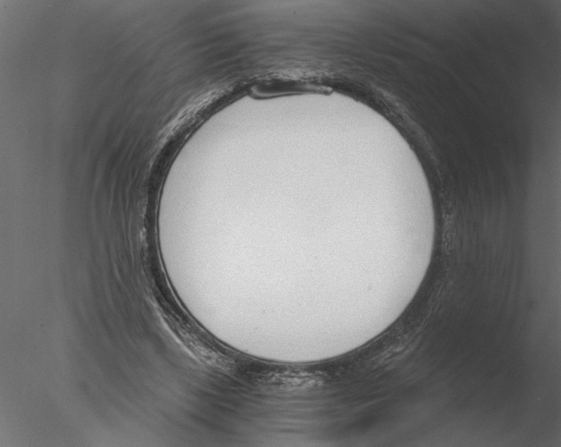 X0000076390443200611031659