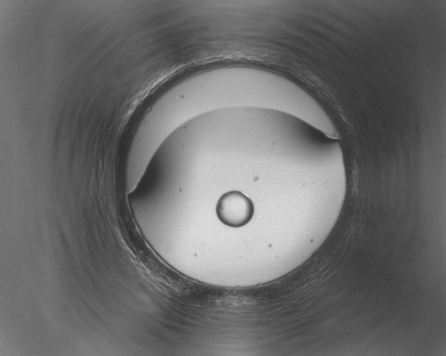 X0000076390444200611031659