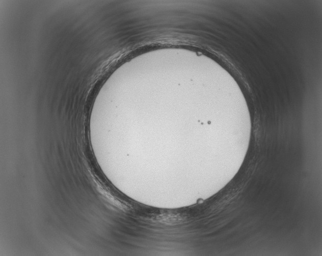 X0000076390445200611031659