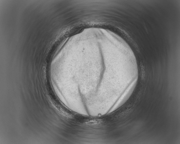 X0000076390447200611031659