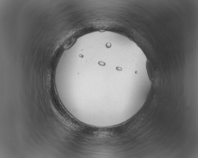 X0000076390448200611031659