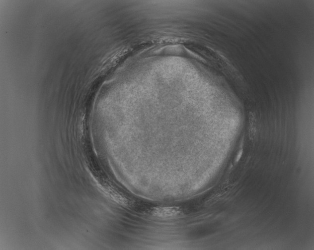 X0000076390451200611031659