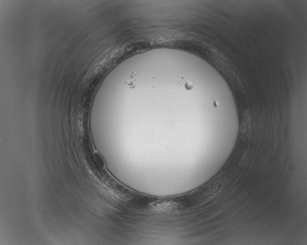 X0000076390452200611031659