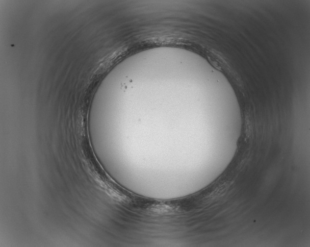 X0000076390453200611031659